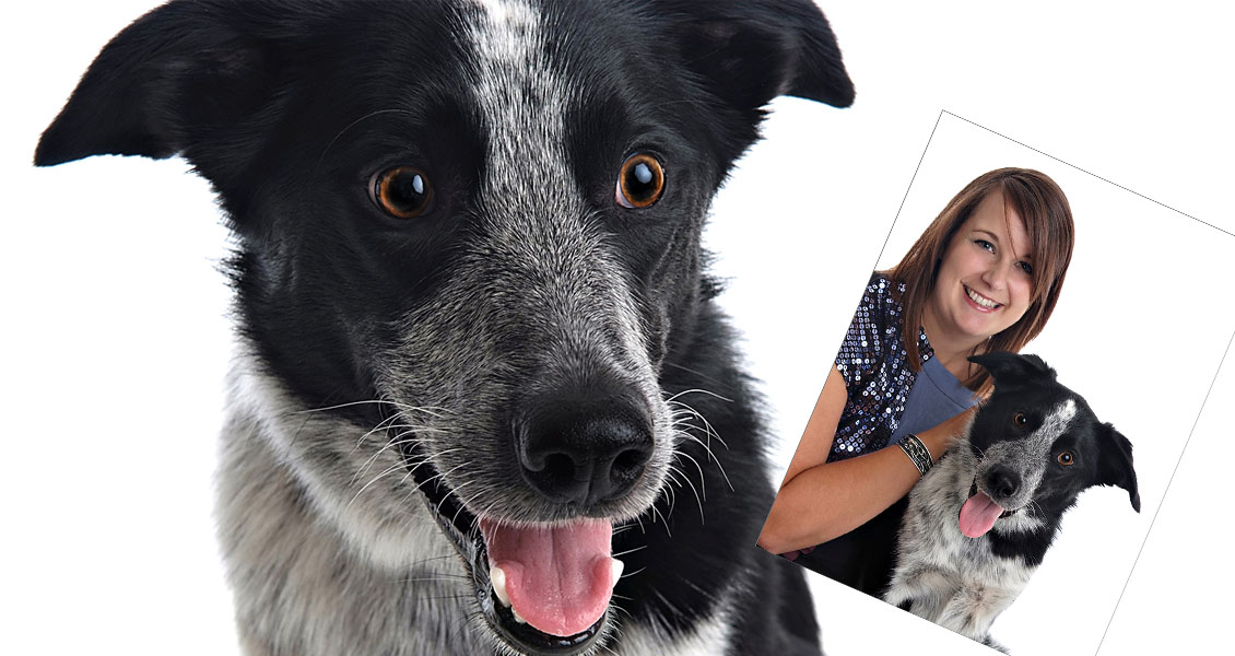 pets-photography-worcestershire-001