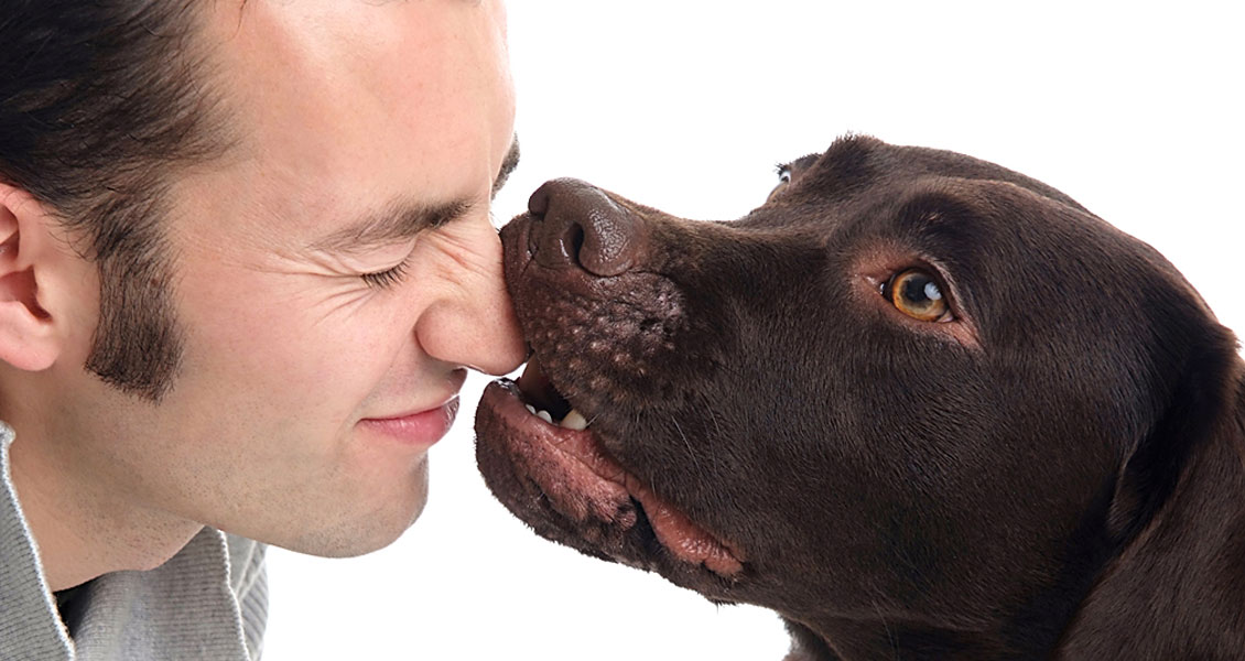 pets-photography-worcestershire-012